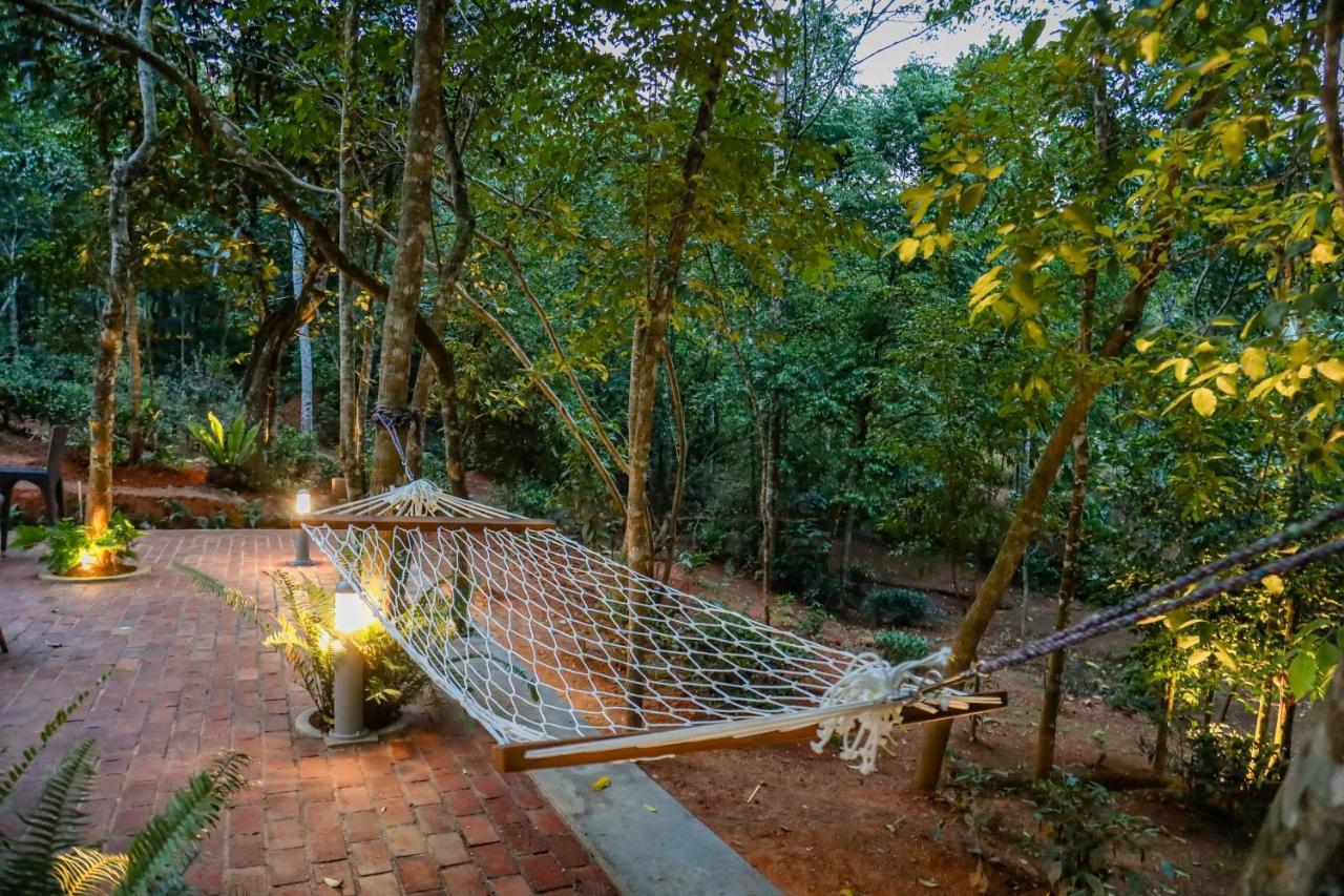 Hotel Tranquilisle Kandy Exteriér fotografie